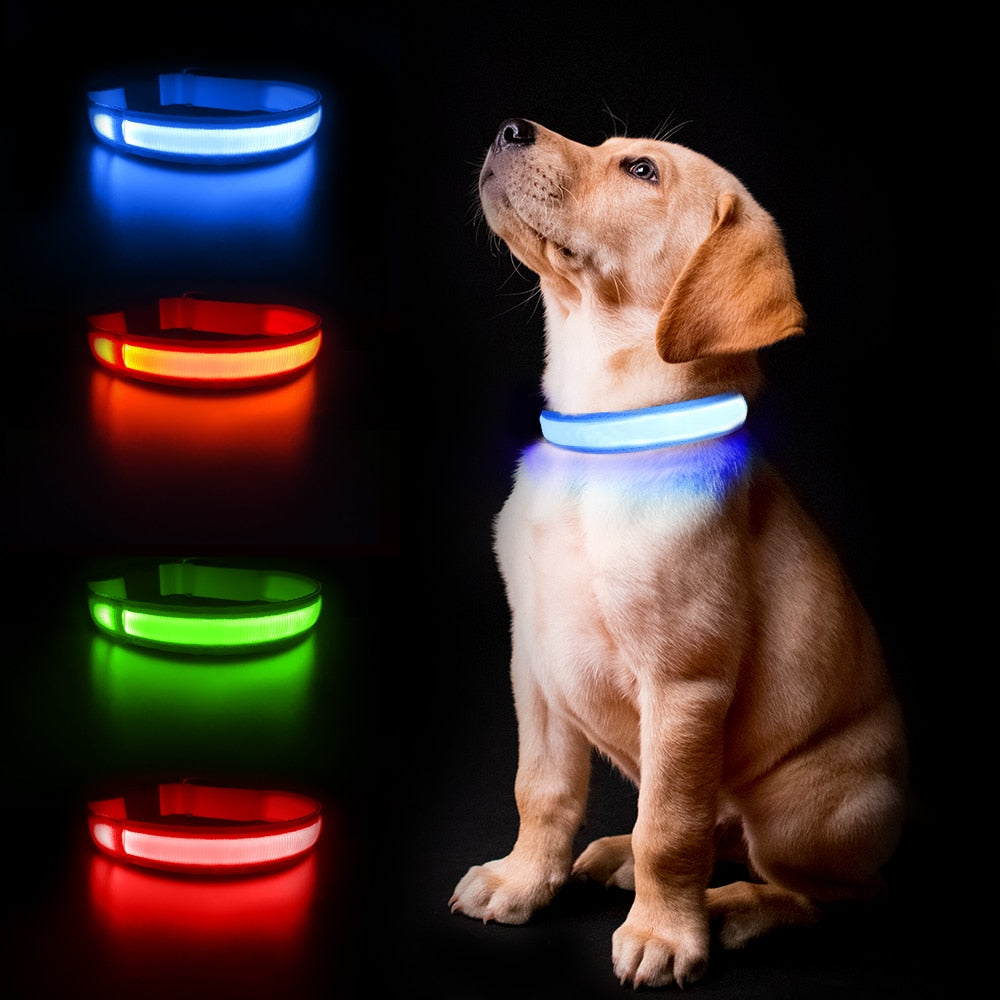 MASBRILL LED Dog Collar Luminous Pet Supplies Dog Collar Waterpoof Safety Glow Necklace Flashing Lighting Up Collars Accessories