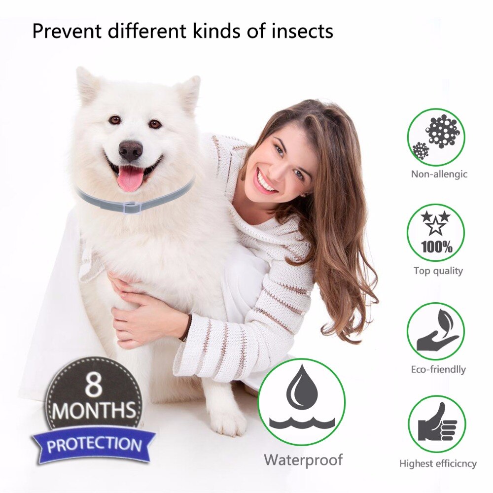 Summer Anti-insect Cat Dog Collar Anti Flea Mosquitoes Ticks Waterproof Cat Flea Collar Dog Accessories Pet Heal Caring Tool