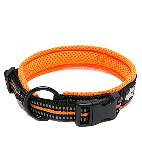 Truelove Pet Dog Collar Nylon Adjustable Webbing Padded Soft Reflective Durable Heavy Duty Training Custom Luxury Cat TLC5011