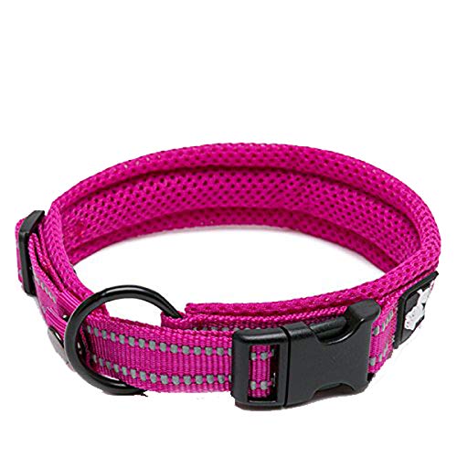 Truelove Pet Dog Collar Nylon Adjustable Webbing Padded Soft Reflective Durable Heavy Duty Training Custom Luxury Cat TLC5011