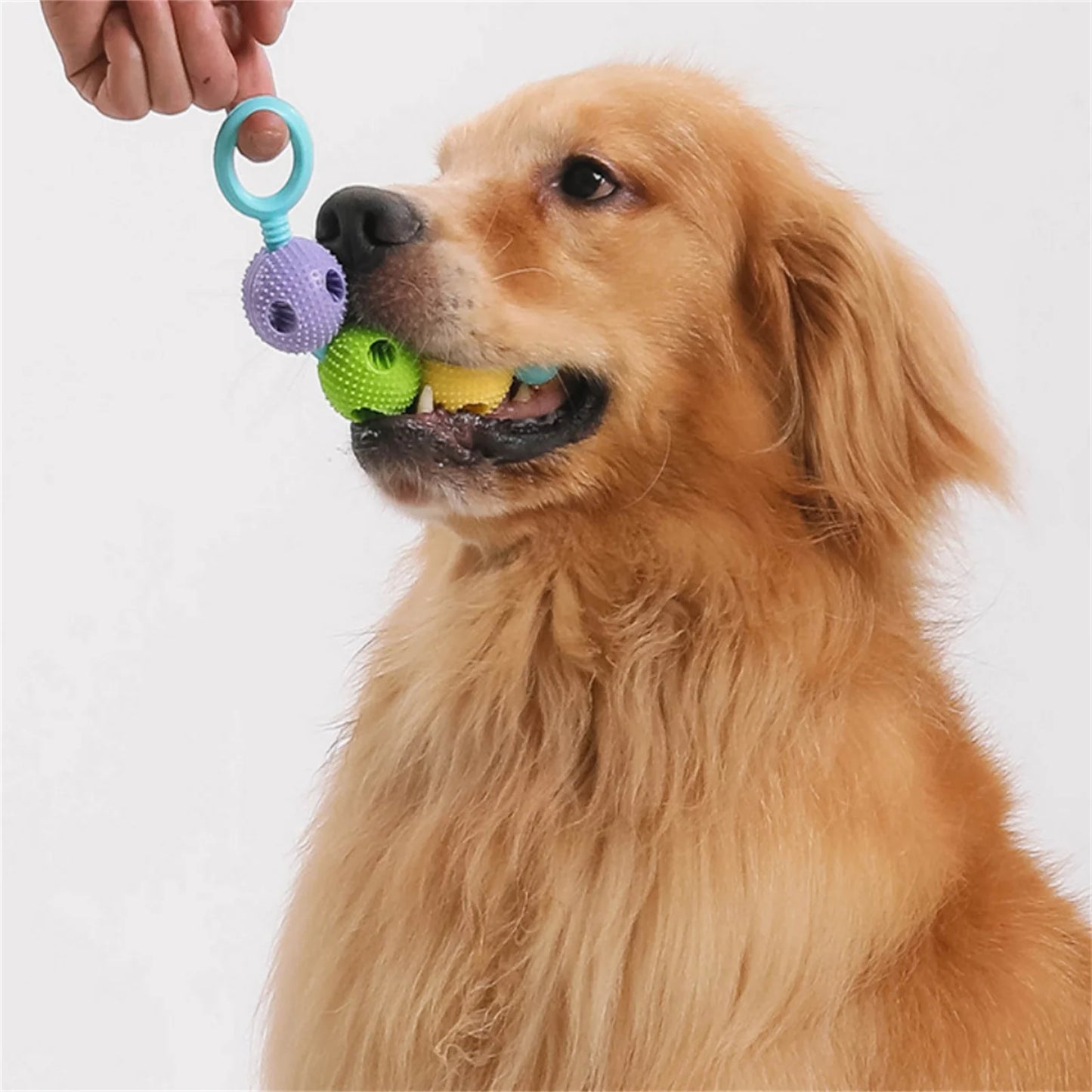 Food Leakage Ball Dog Toy Ball Educational Pet Toy Ball Chewing Ball Teeth Grinding And Cleaning