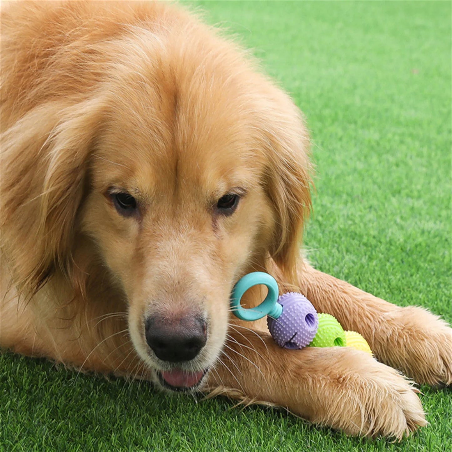 Food Leakage Ball Dog Toy Ball Educational Pet Toy Ball Chewing Ball Teeth Grinding And Cleaning