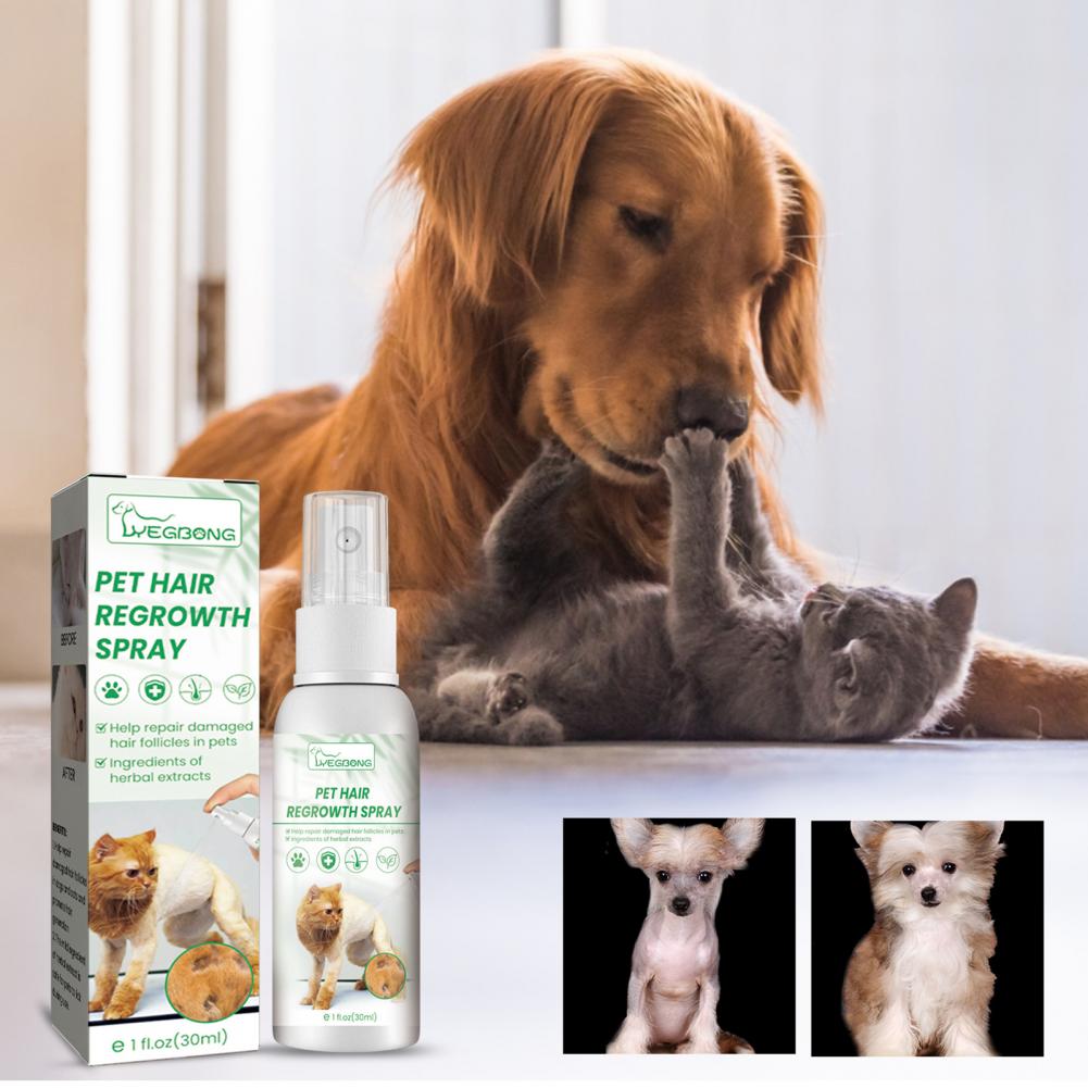 Cat Hair Spray  Useful Easy to Use Knots Clean  Easy to Absorb Dog Detangling Spray for Pet