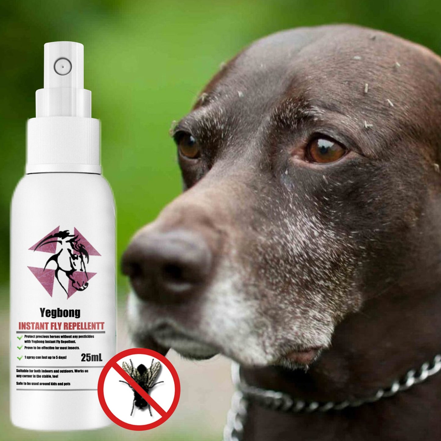 Pet Skin Spray Fleas And Tick Spray For Dogs And Cats Fleas Eliminator Control Prevention Treatments Protect Your Home From