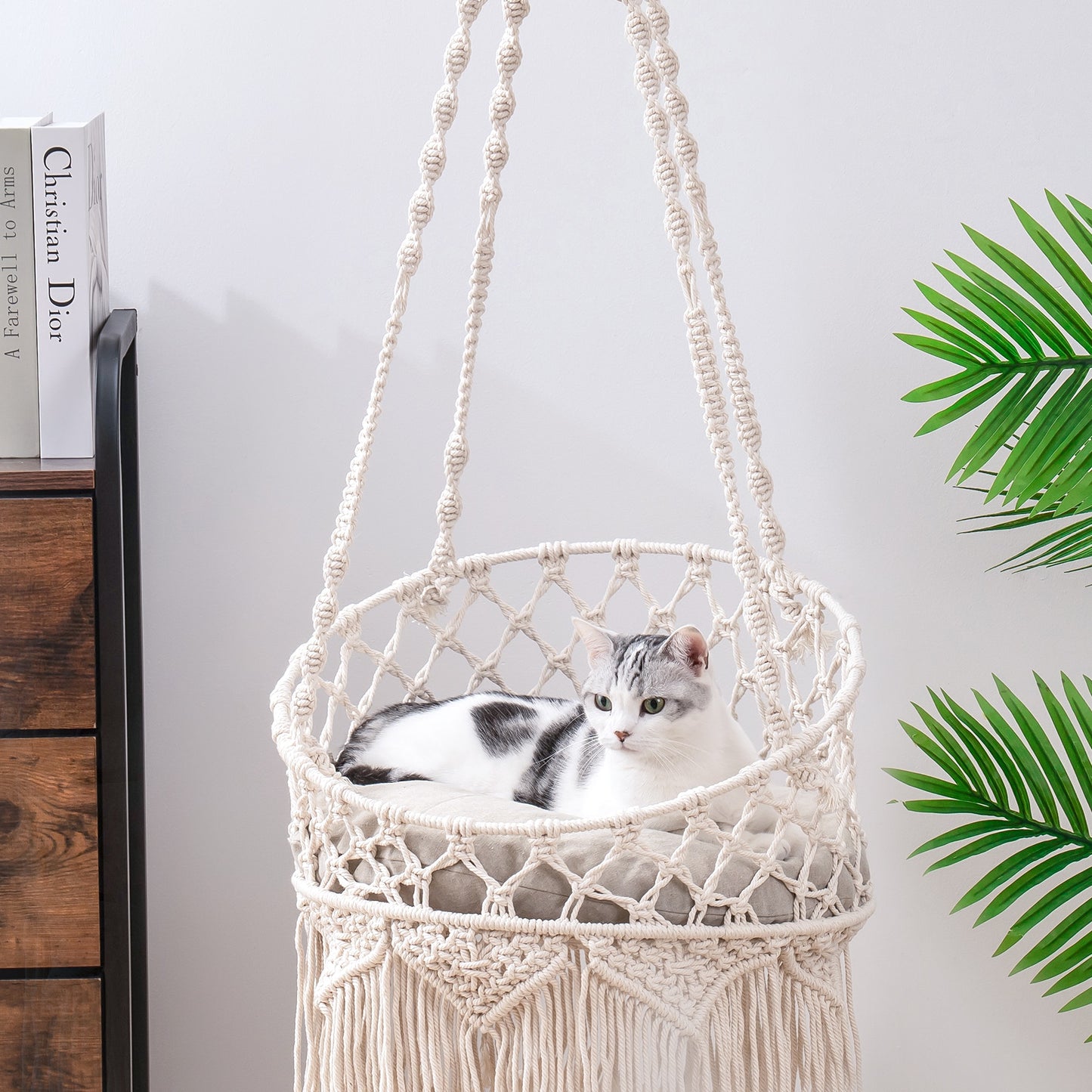 Mewoofun Handwoven Cat Window Perch Bed Indoor/Outdoor Hammock for Cats - Sleep, Climb, and Play  Cozy Pet Bed Fast US Shipping