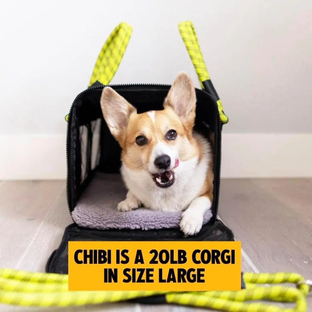 Pet Carriers, Airline-Compliant  includes Leash