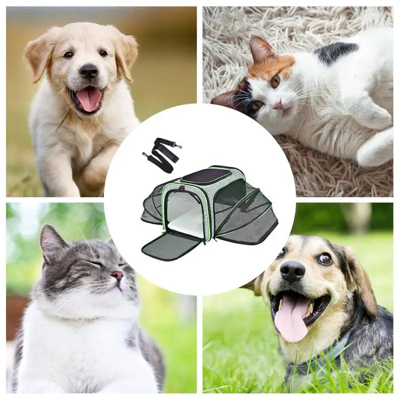 Pet Bags For Travel Foldable Multifunctional