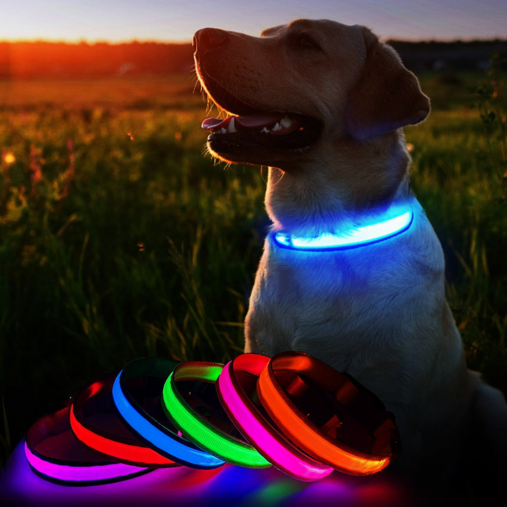 MASBRILL Dog Collar Luminous Pet Supplies Dog Collar Waterpoof Safety Collars dropship