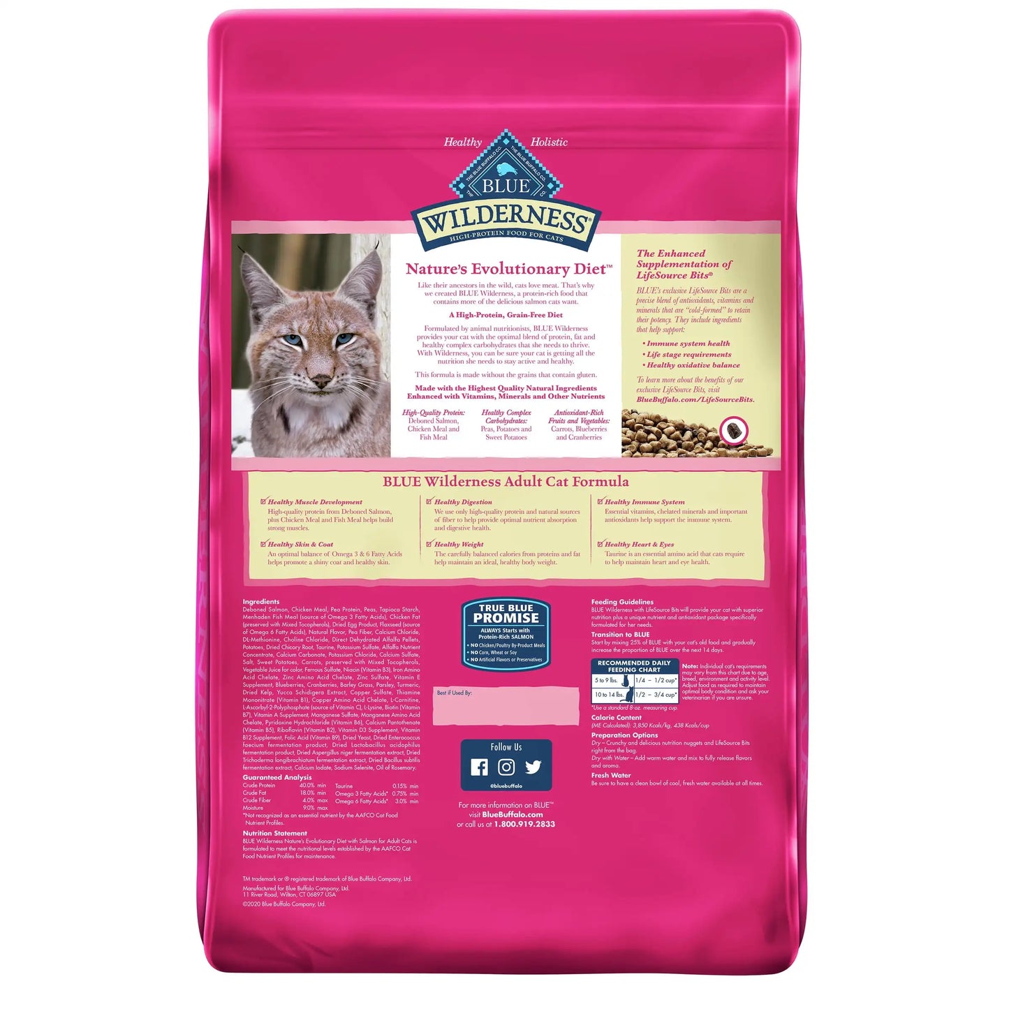 Blue Buffalo Wilderness High Protein Salmon Dry Cat Food for Adult