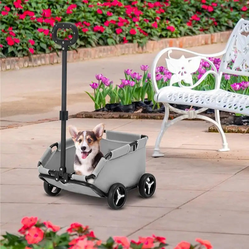 Small Pet Carriage Rolling Carrier 4 Wheels Lightweight