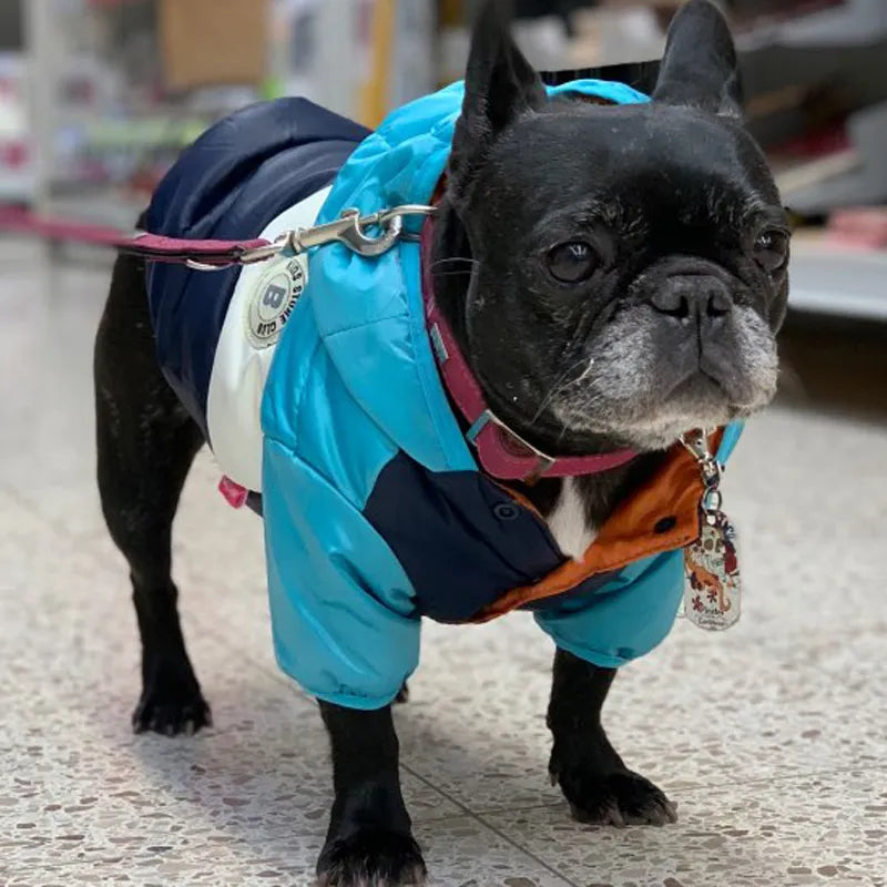 Waterproof Big Dog Down Jacket Winter Warm Dog Clothes for Small Medium Large Dogs French Bulldog Pug Hooded Coat Pets Clothing