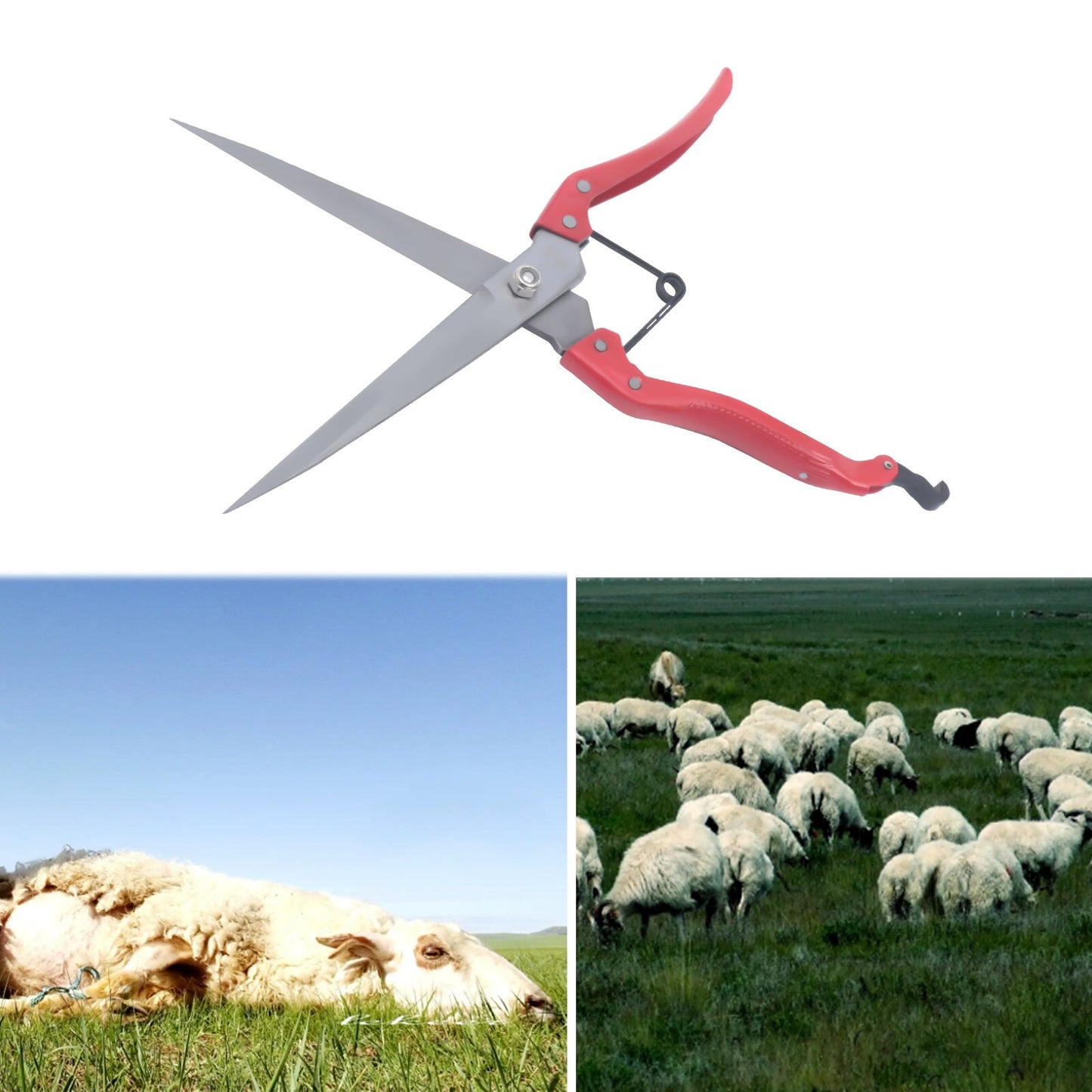 Wool Clippers Wool Cutter Goat Scissors Shearing Tools Pet Cut Hair