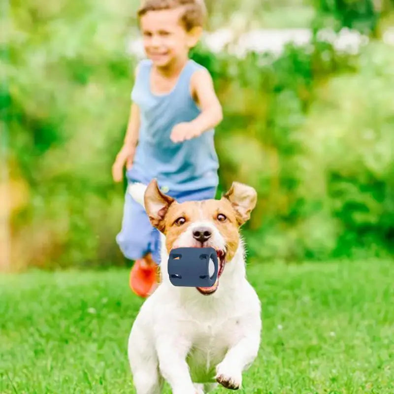 Bite-resistant Tennis Tumble Puzzle Toy