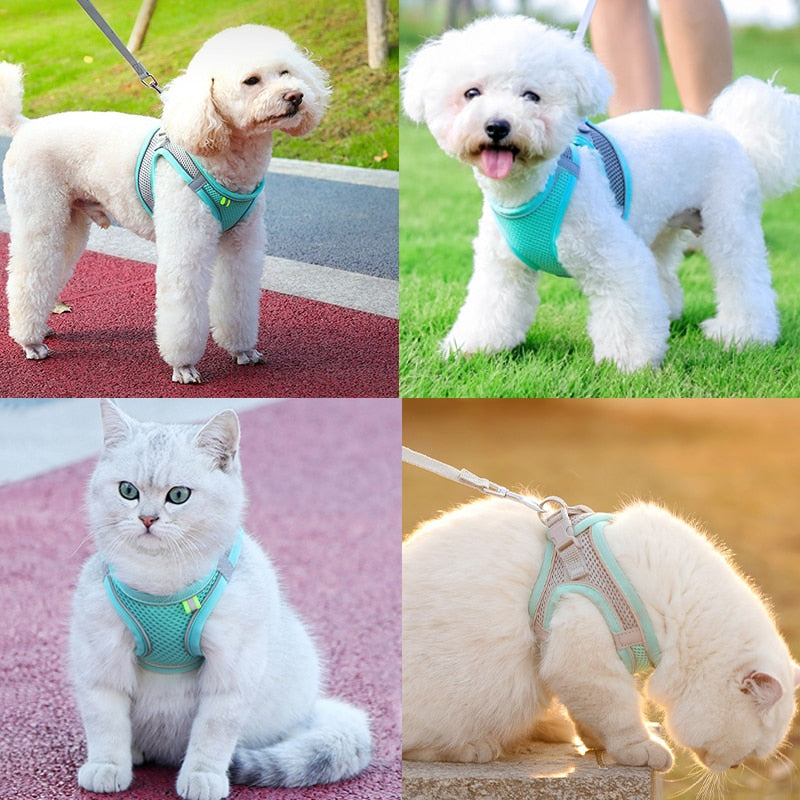Pet Harness Leash Set Escape Proof Kitten Harness For Cat Small Dog Breathable Puppy Pet Walking Lead Leash Cat Accessories